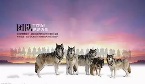智龙迷城sns_智龙迷城队长_智龙迷城零龙队