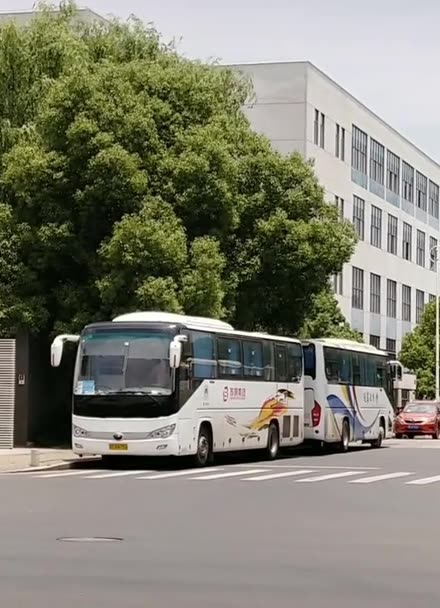 大巴招聘司机旅游是真的吗_旅游大巴司机招聘_大巴招聘司机旅游怎么样