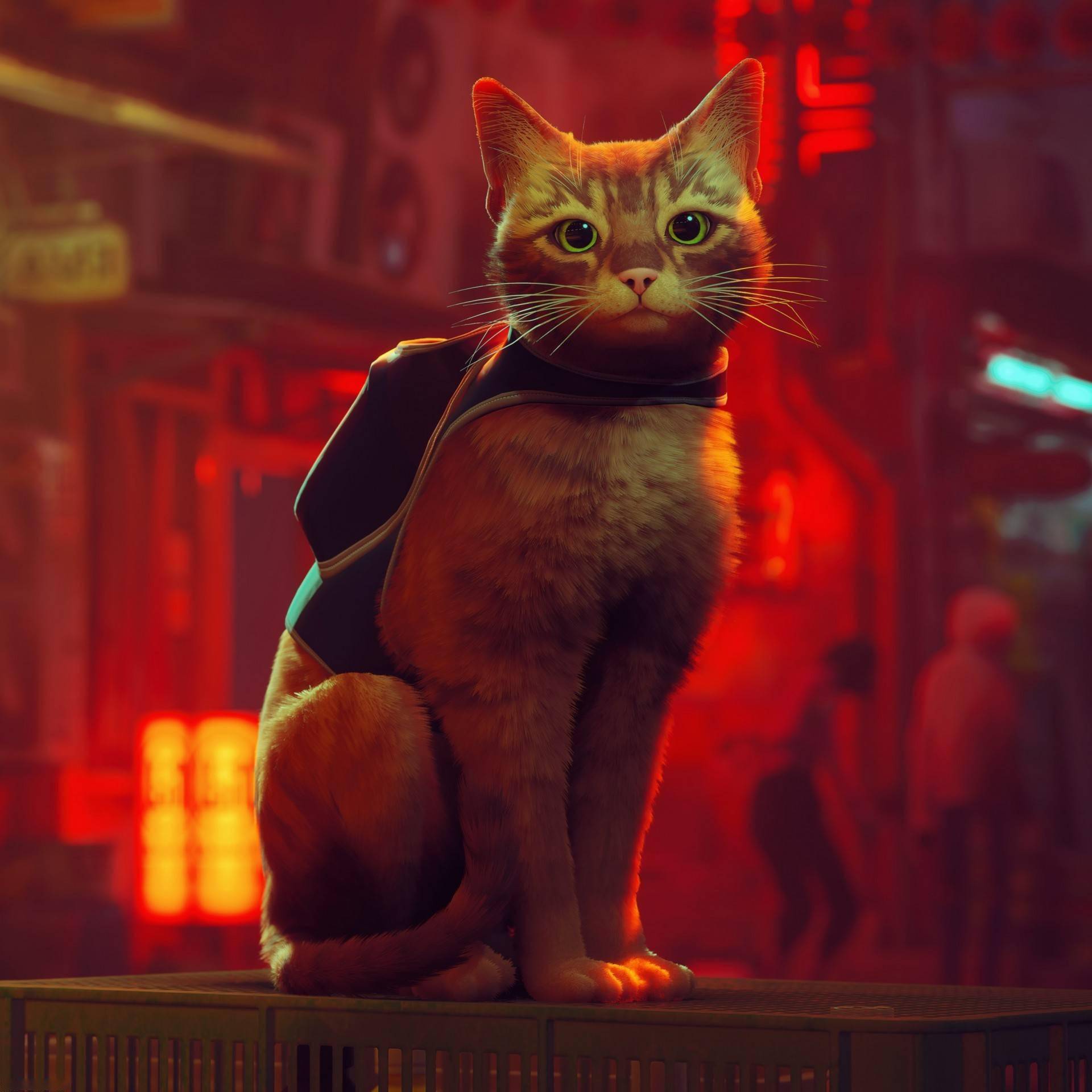 巧虎躲猫猫小游戏大全-巧虎躲猫猫小游戏：找不同、排数字，孩子们的学习新玩法