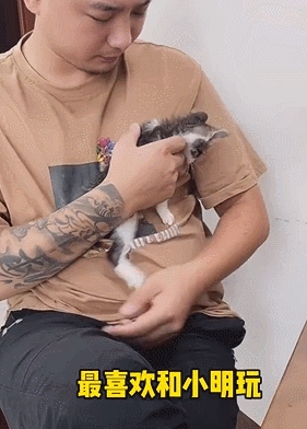 男刀用什么打_男刀怎么打出伤害_男刀输出手法