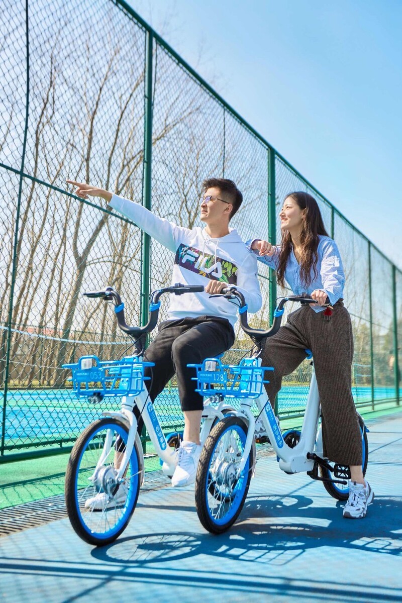 自行车带狗骑行：自由与约束，运动与休闲的完美对比