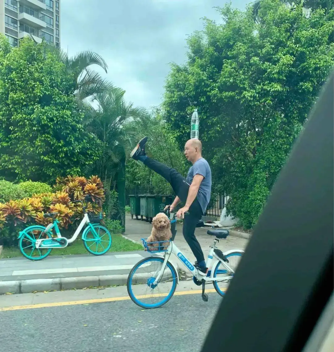 自行车带狗骑行_自行车骑行狗带什么好_自行车带宠物