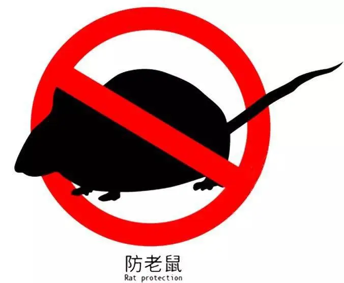苍蝇用什么方法灭最好_灭苍蝇的最好方法_苍蝇怎样灭