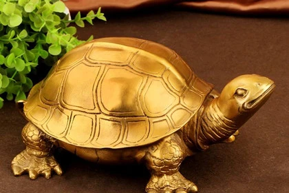 前叉哪边是龟_前叉龟兔调节_前叉龟兔调节