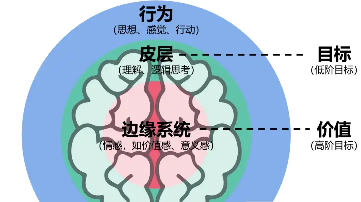 30种大脑训练方法pdf-30种方法，让你的大脑更聪明