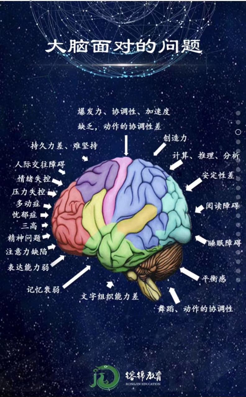 大脑训练之道_30种大脑训练方法pdf_大脑的训练方法
