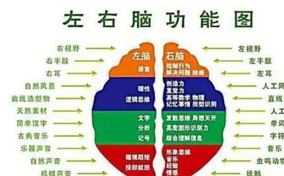 30种大脑训练方法pdf_大脑训练之道_大脑的训练方法