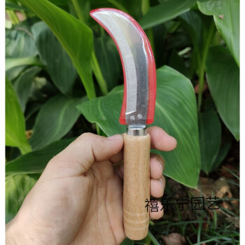 泰拉瑞亚12武器攻略_泰拉瑞亚最强制作武器搭配_泰拉瑞亚最强武器zenith