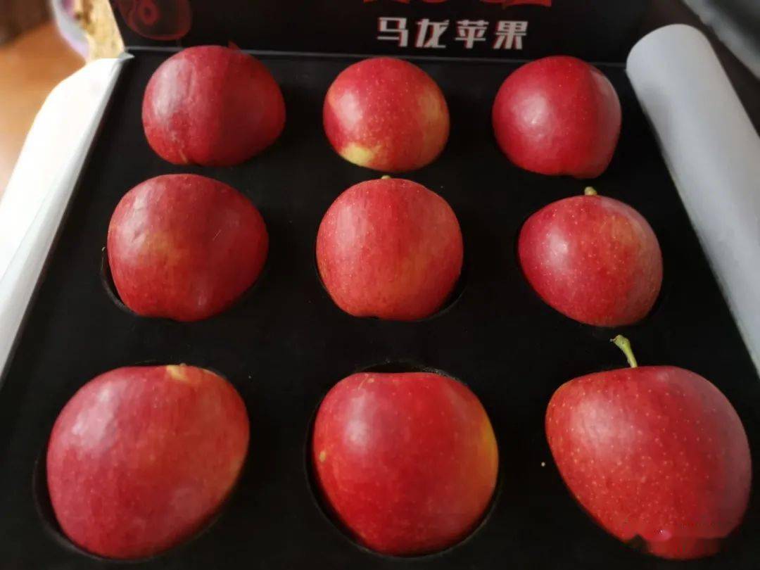 ps4血腥大地_血腥大地苹果手机版_血腥大地苹果