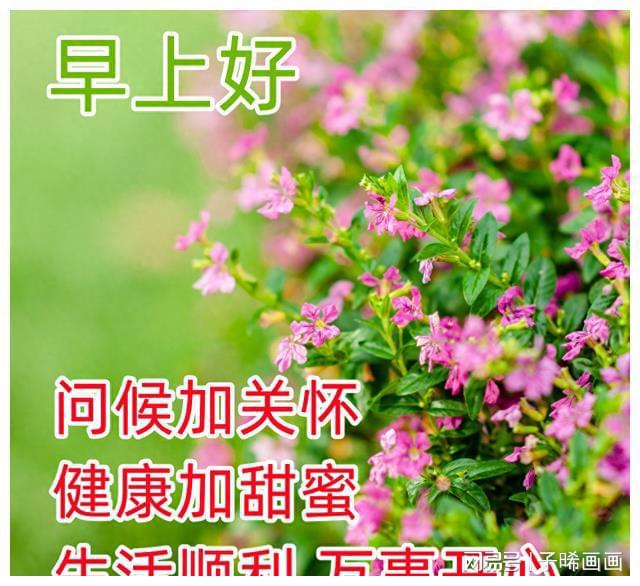 新飞飞主线剧情-新飞飞：爱情火花 VS 友情拼搏，年轻人成长路上的终极碰撞