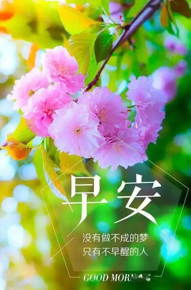 新飞飞70级主线_新飞飞主线任务奖励_新飞飞主线剧情