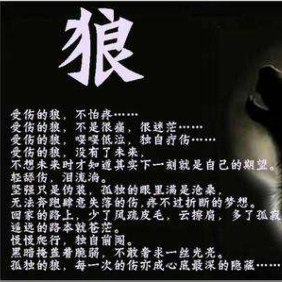 狼少女与黑王子十三集-校园爱情秘籍：狼少女与黑王子的成长故事
