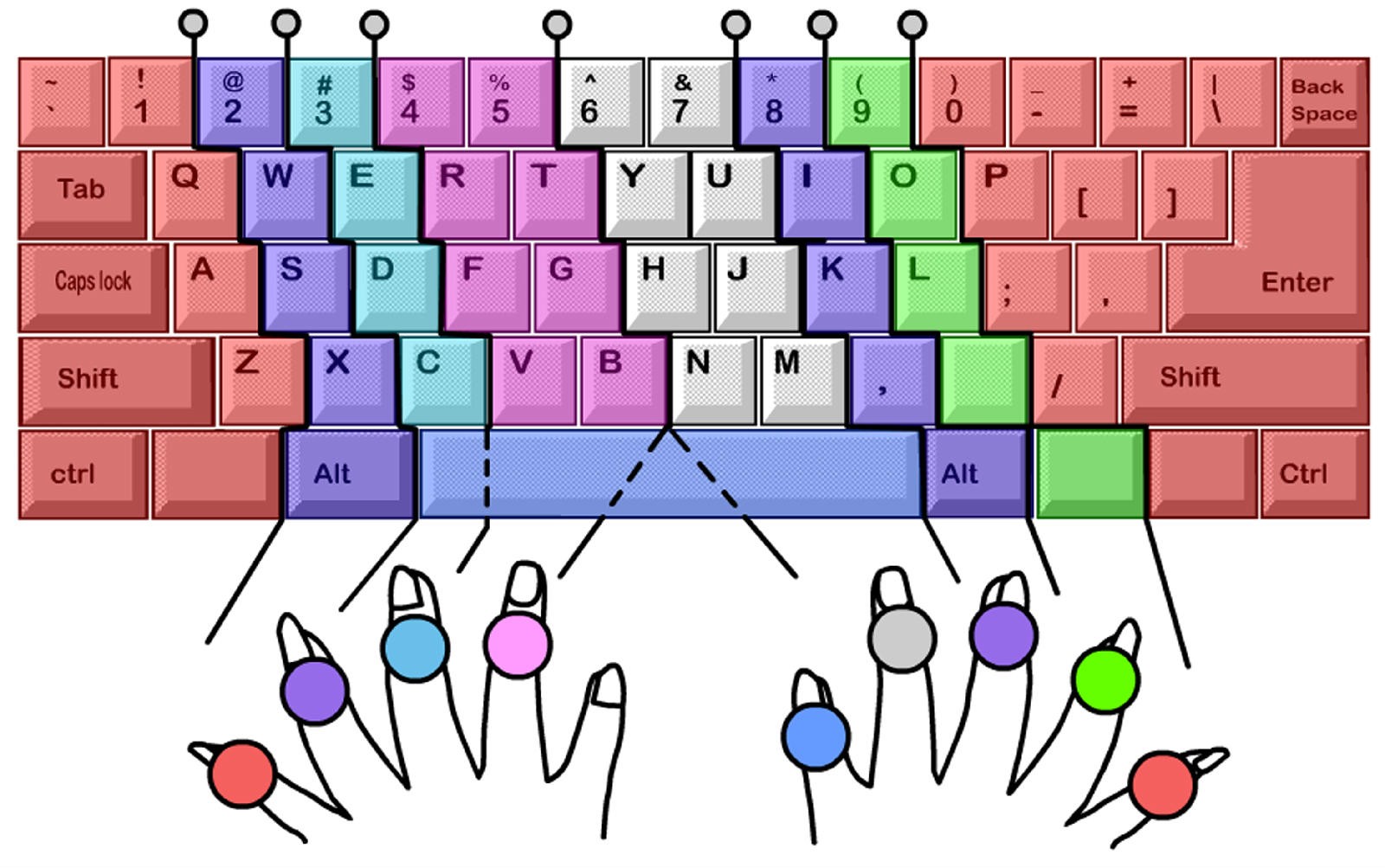 蜜蜂文字_蜜蜂打字图标_小蜜蜂打字