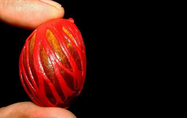 圣三国蜀汉传练果神器哪里弄_圣三国蜀汉传怎么练果_圣三国蜀汉传练果是什么意思