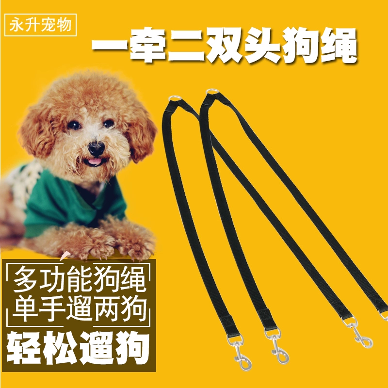 鬼武者3双头犬_鬼武者3双头狗的打法_双头狗怎么打