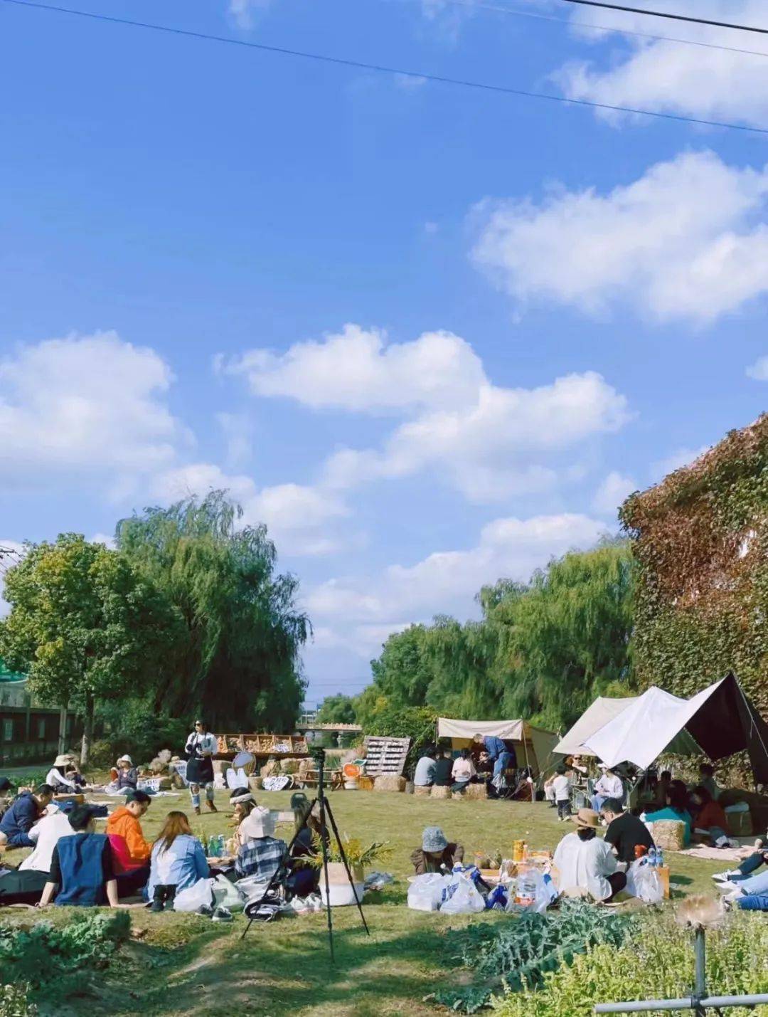 田园日记农场在线观看_田园日记农场在线观看_田园日记农场在线观看