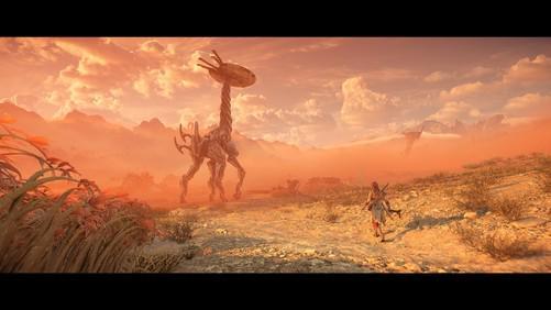 宠物森林外表-宠物森林奇趣无穷：可爱小动物、稀有生灵、神秘植物全揭秘