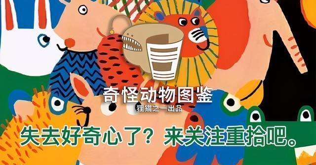卡布仙踪精灵图鉴_卡布仙踪精灵大全_卡布仙踪灵兽大全