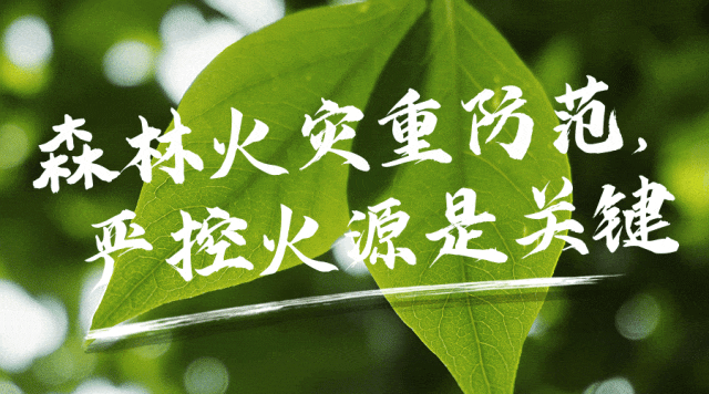 揭秘惩罚者无双：谁是他们？为何令罪犯胆寒？