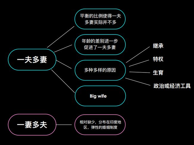 婚姻的起源百度云_婚姻的起源下载_婚姻的起源bt