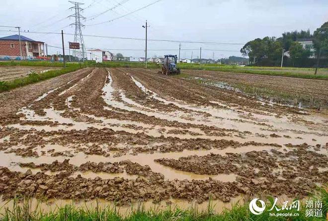 血腥大地升级技能_血腥大地怎么升级技能_血腥大地升级