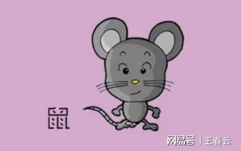 生肖传说宠物进阶图_12生肖宠物_生肖传说所有宠物