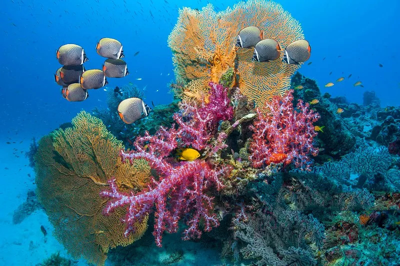 360 海洋时代2-360海洋时代2：探秘神秘海底，挑战未知