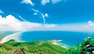 叶对生沉香树-神奇沉香树下，叶子的生命之旅