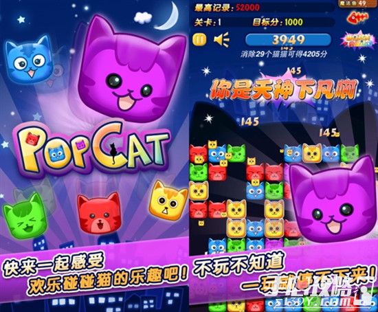 碰碰猫商城_碰碰猫是什么_cyone碰碰猫价格
