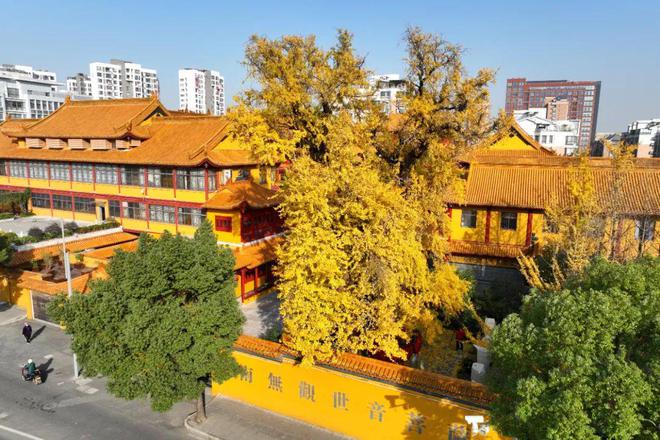 未来方舟c2组团效果图_未来方舟c2组团效果图_未来方舟c2组团效果图