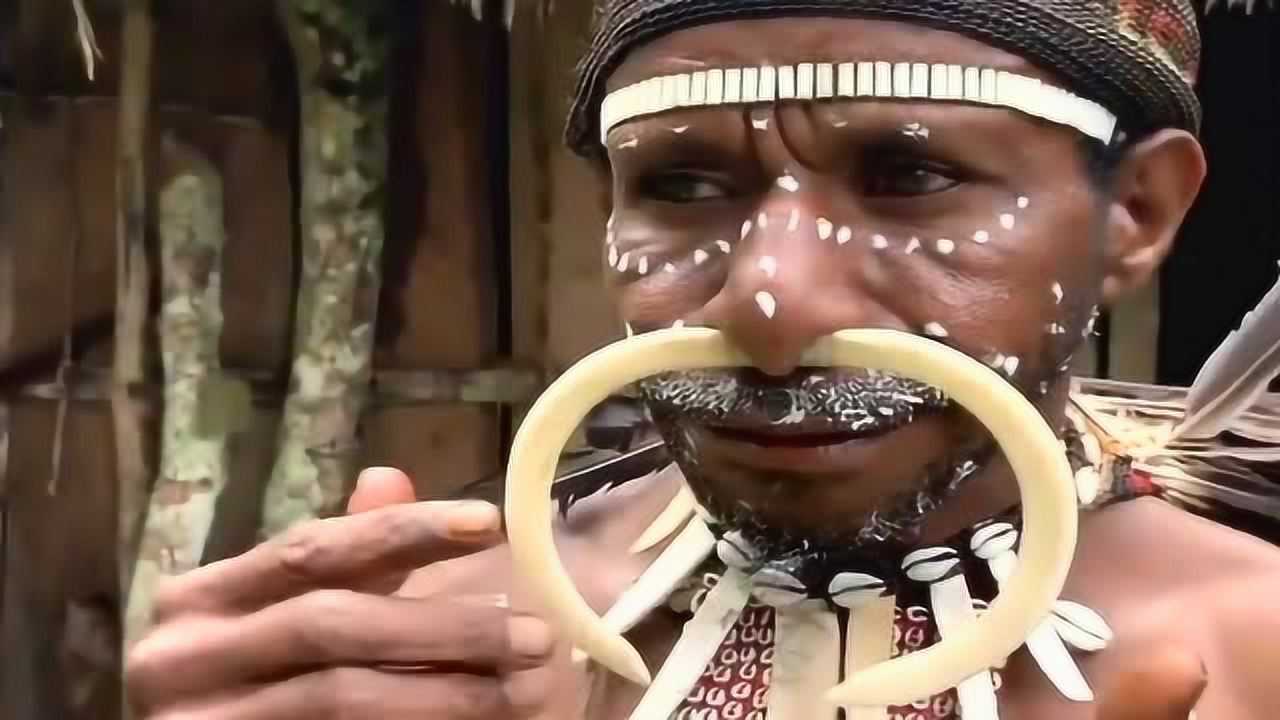 杜隆坦狼帽子-神秘狼族魔法帽：究竟隐藏着什么神秘力量？