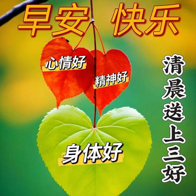 瓷肌官方店歌词_瓷肌官方店歌词_瓷肌官方店歌词