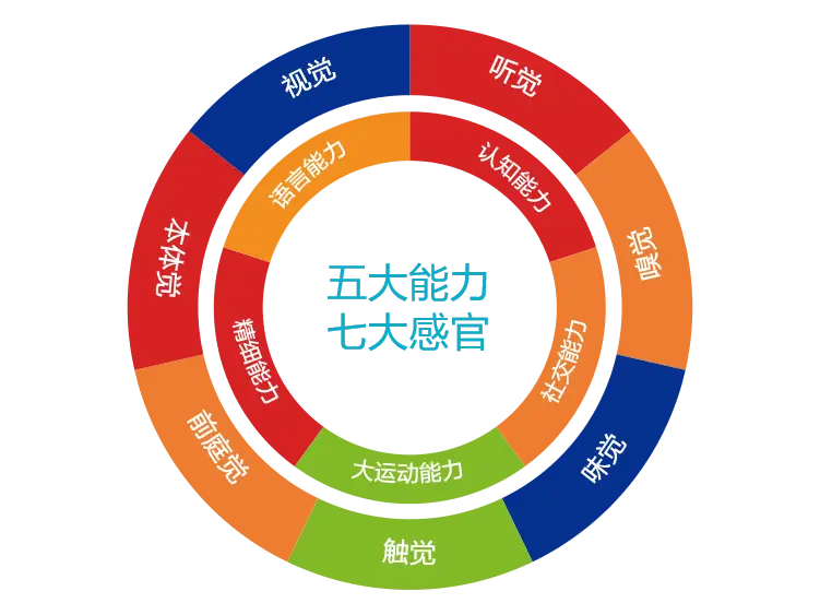 最强大脑攻略-智慧大比拼：如何成为最强大脑？