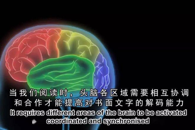 最强大脑攻略_最强大脑攻略25~48_最强大脑攻略132