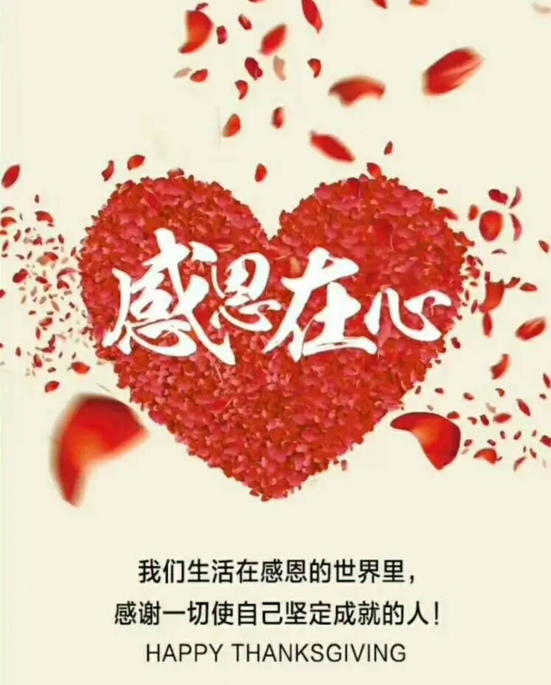 永不言弃破解版-坚持不懈，终会成功