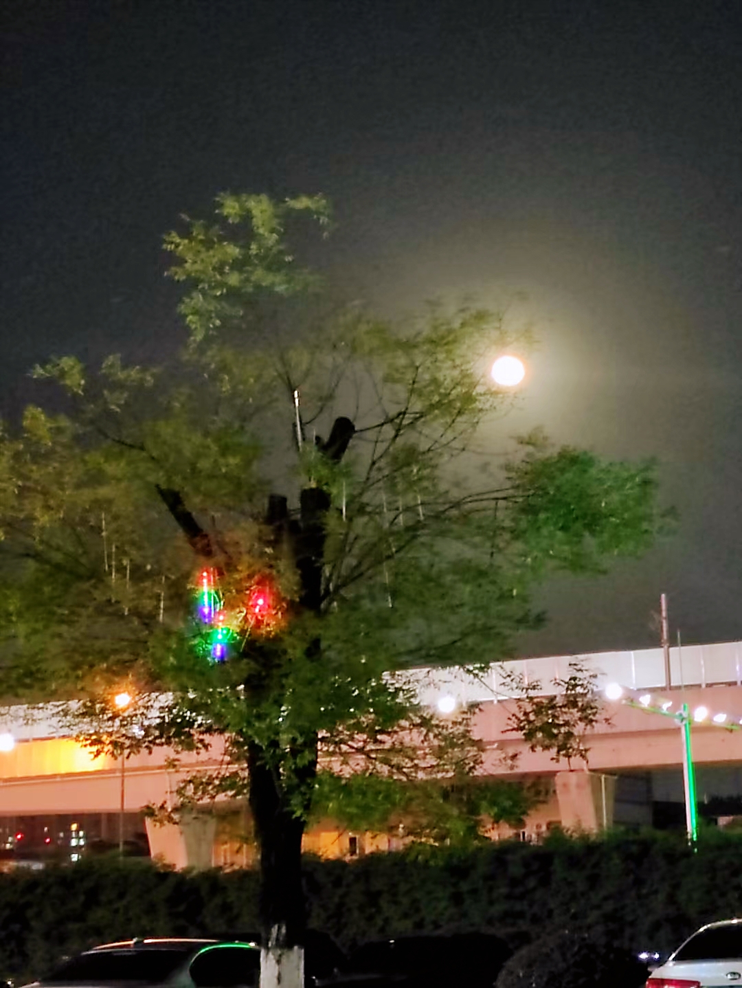 月亮还有什么名字-月亮的别名：皓月、清辉与夜明珠
