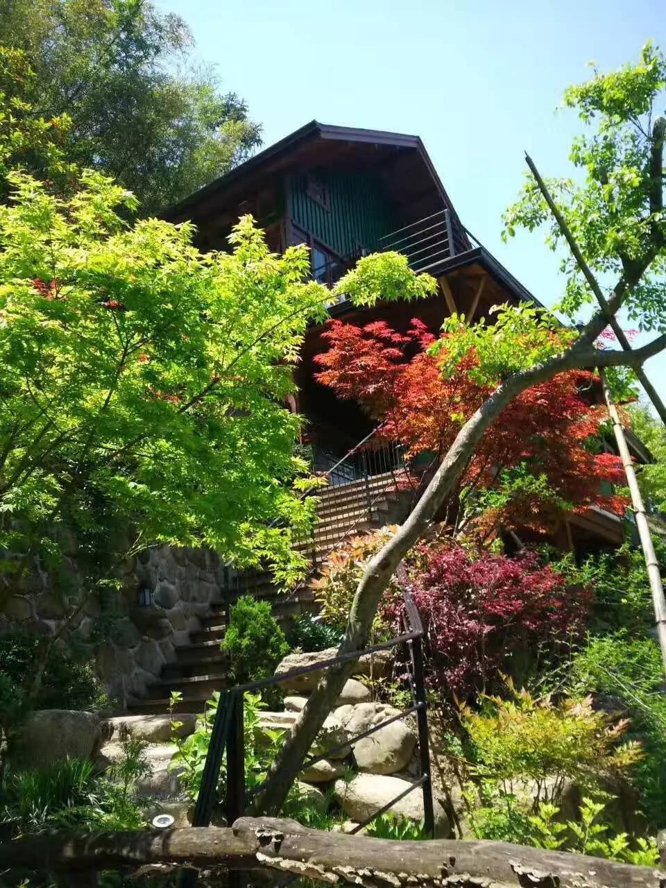 小望的野望-小时候的荒地梦想：追寻野心之路，我如何建造属于自己的城堡？