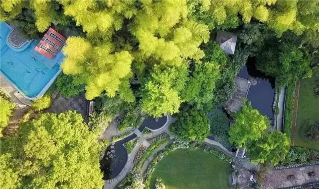小望什么意思_小望_小望的野望
