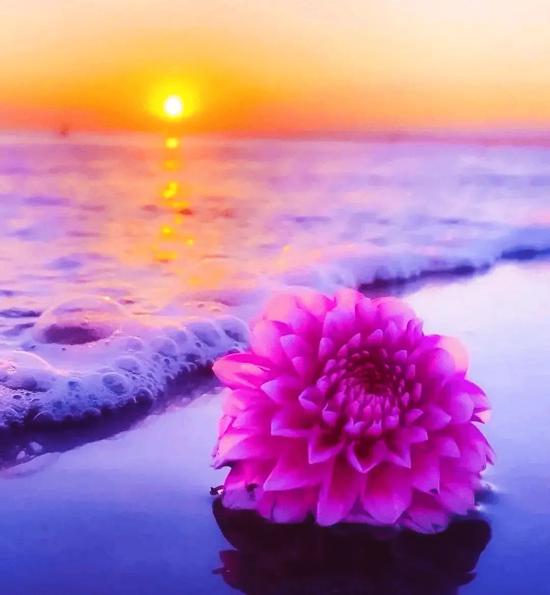 赏花作文700字_赏花作文600字_赏花作文500字左右