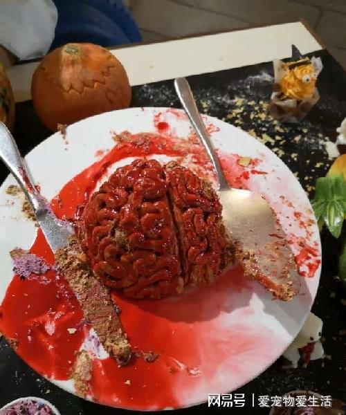 冒险王金矿_金矿大冒险万圣节_金矿大冒险圣诞版下载