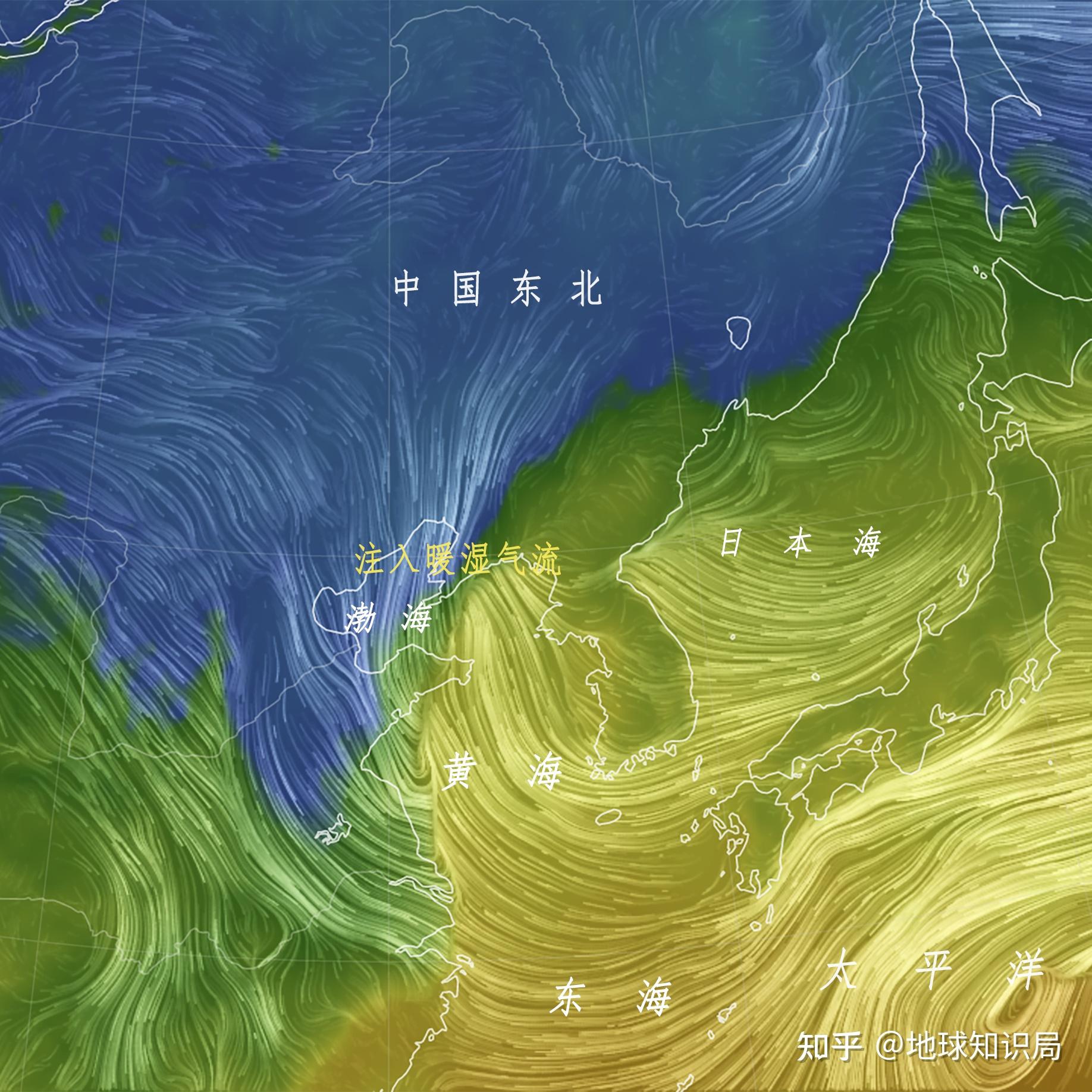 北方暴雪的人去哪里了_北方暴雪产生的可能原因_北方暴雪出走