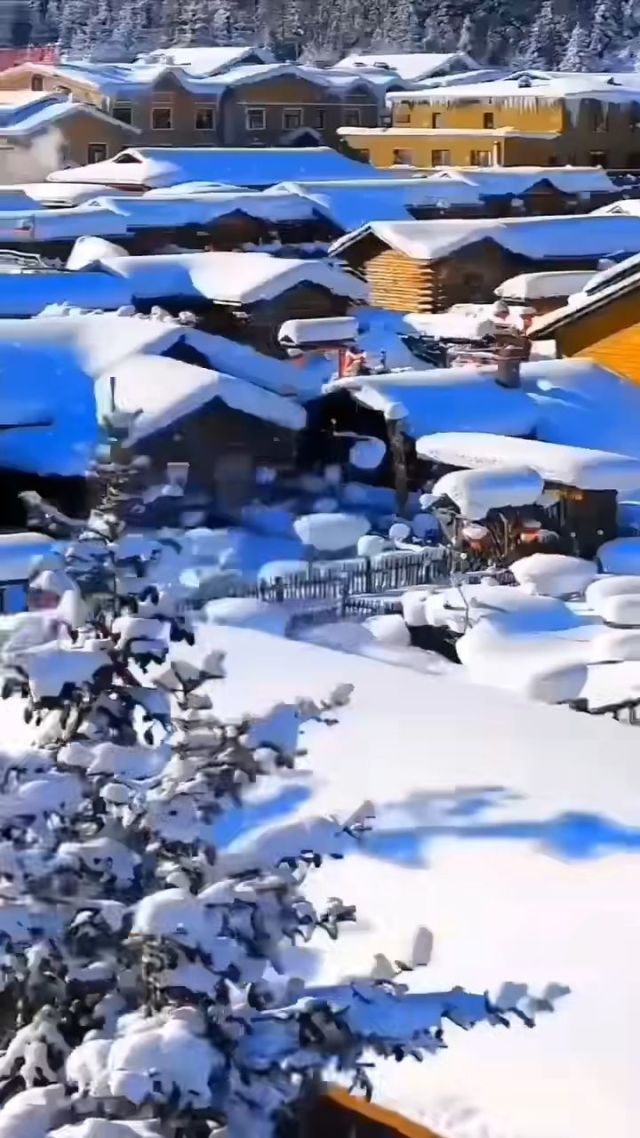 北方暴雪的人去哪里了_北方暴雪出走_北方暴雪产生的可能原因