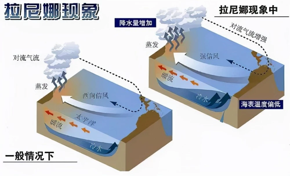 北方暴雪的人去哪里了_北方暴雪出走_北方暴雪产生的可能原因