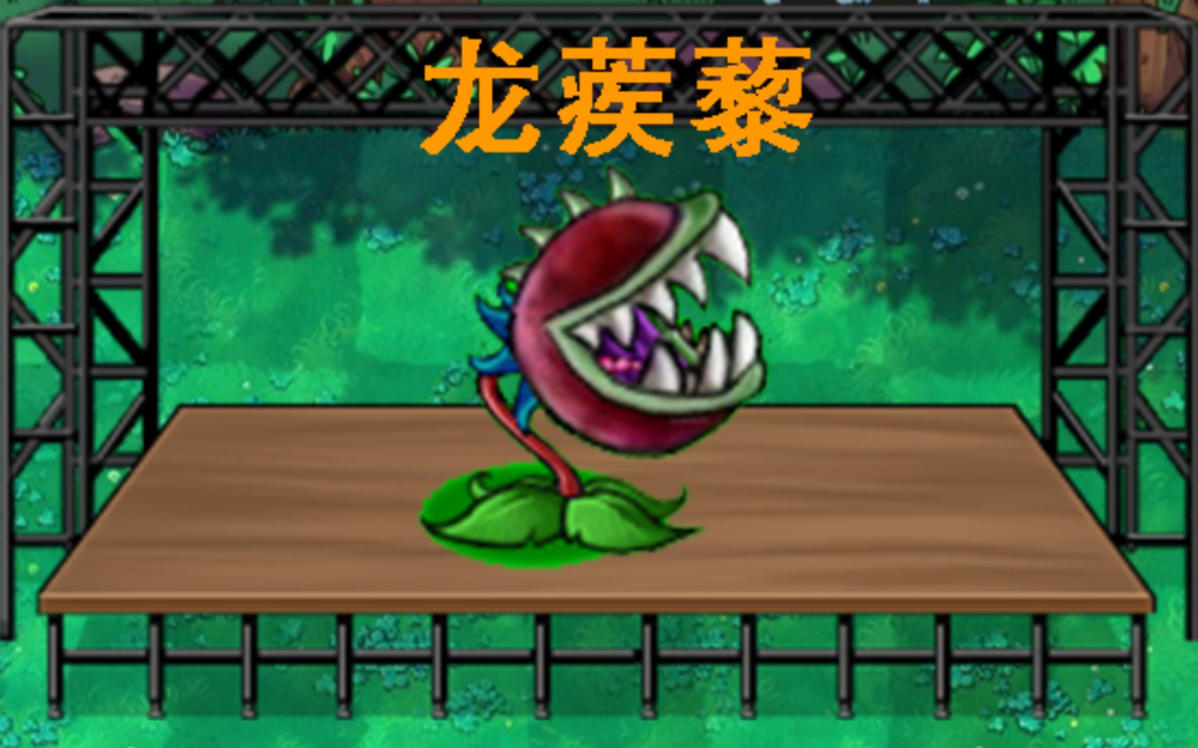 龙蒺藜和大嘴花_龙蒺藜中药_龙蒺藜在那个版本