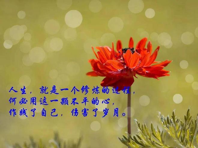 涵字图片大全微信头像_赖子涵图片_涵字图片大全霸气图片