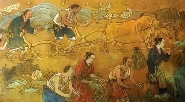 土地抢夺者为什么进不去_土地抢夺者秘籍_土地抢夺者手游