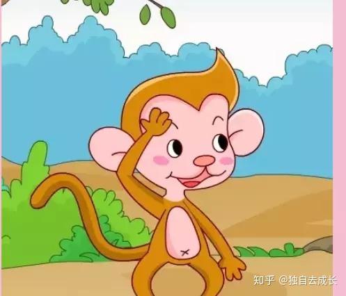 猴子跳跳跳-阳光正好，动物园猴山旁的猴子跳跃带给我的思考与感