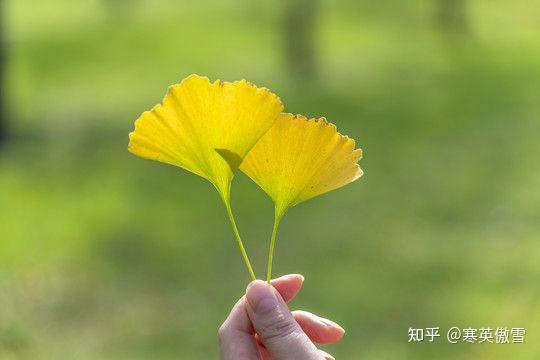 杰克格里森现状_杰克格里森学霸_杰克·格里森吧