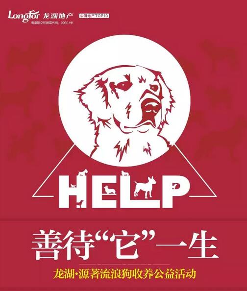 收养狗流浪要什么手续_收养狗流浪要多久_不要收养流浪狗