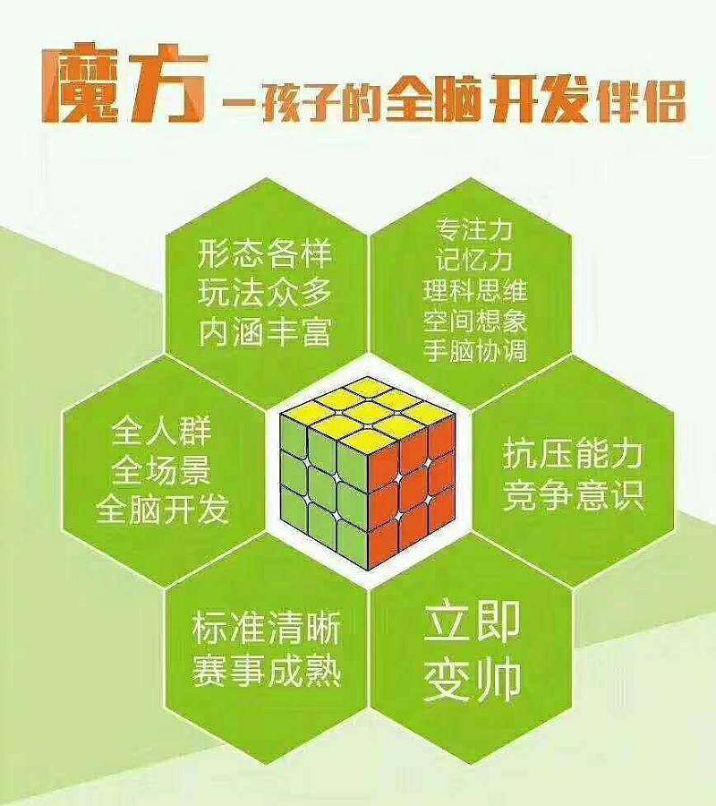 最强大脑把这盏灯熄灭-熄灭最强大脑之灯，重燃心灵火焰：别样方式的探索